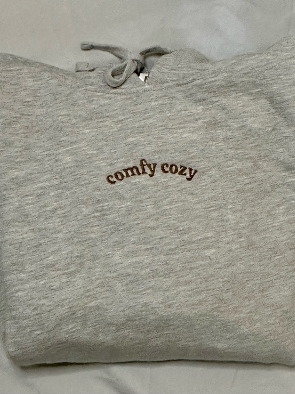 Light Gray 'Comfy Cozy' Embroidered Hoodie